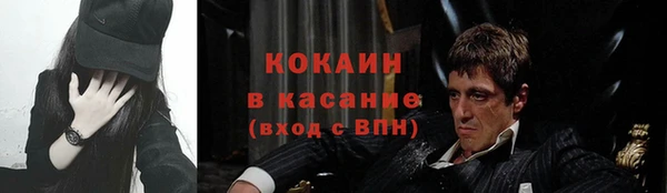 метадон Алексин
